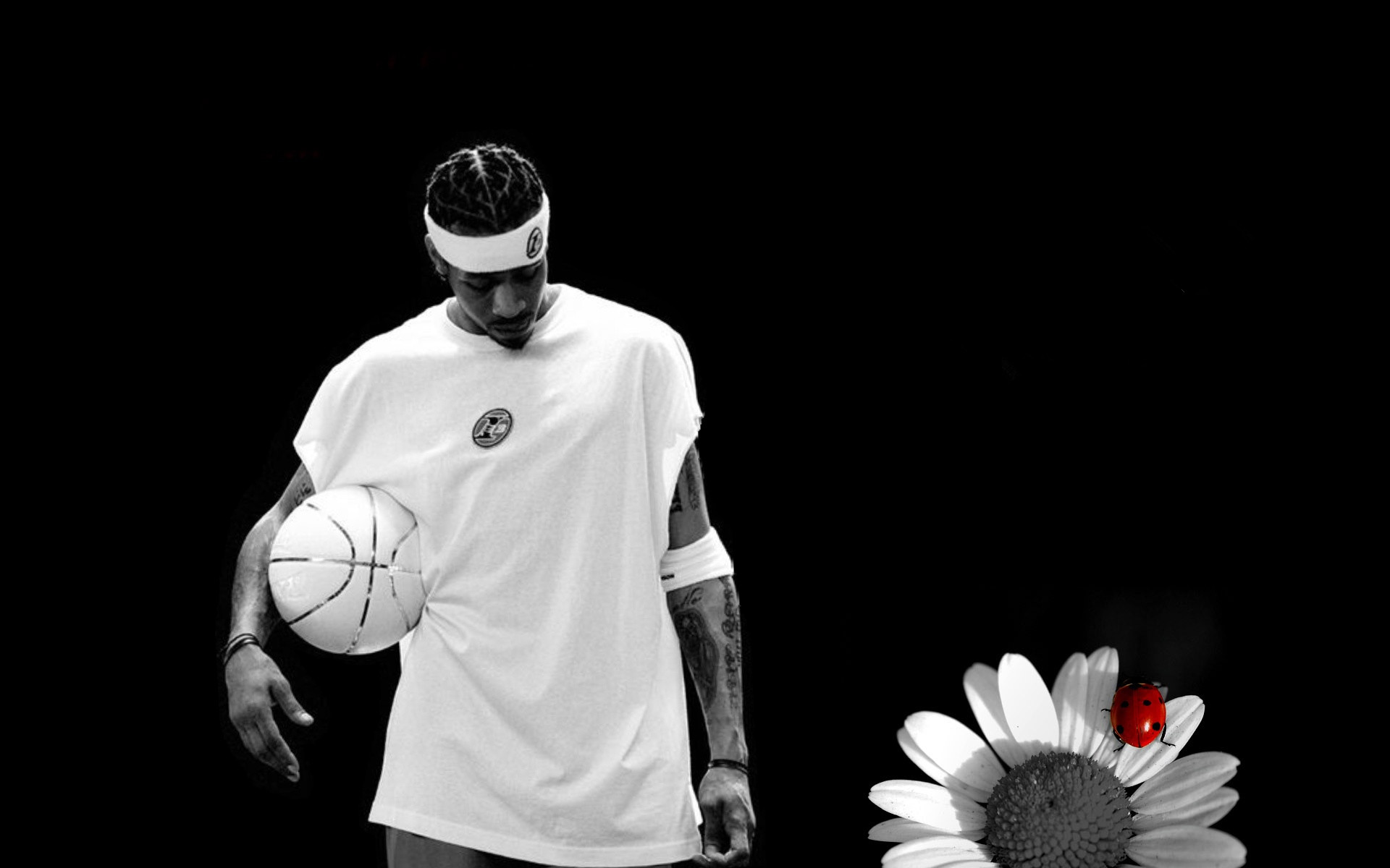 前哨直播 前哨直播